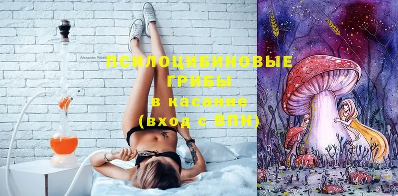 Галлюциногенные грибы Psilocybe  Лукоянов 